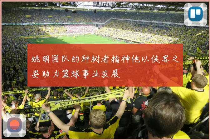 姚明团队的种树者精神他以侠客之姿助力篮球事业发展
